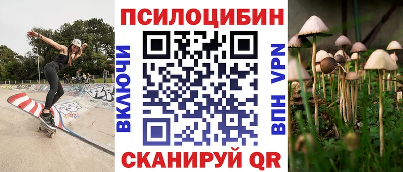 закладка  darknet телеграм  Галлюциногенные грибы мицелий  Приволжск  OMG зеркало 